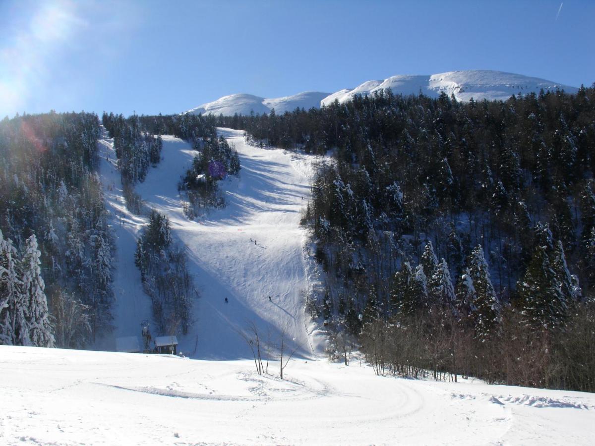 Hotel Du Col De La Machine Saint-Jean-en-Royans Exteriör bild